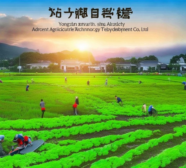 深耕绿色农业科技，赋能乡村振兴——永新县安丰农业科技开发有限公司发展纪实