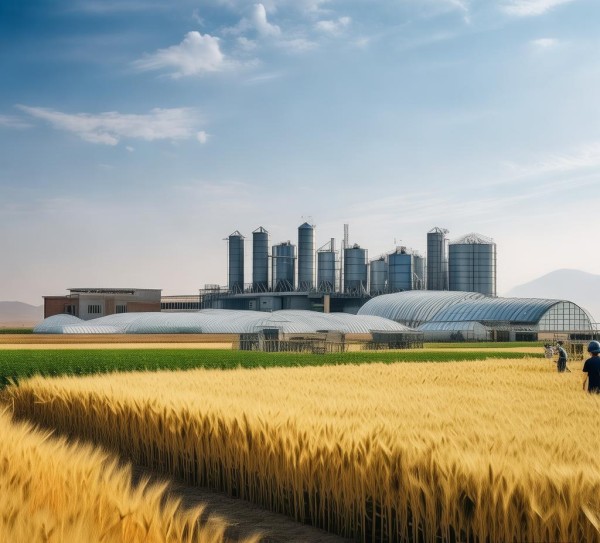 吴起大西北农业科技开发有限公司，深耕大西北，赋能农业科技新篇章