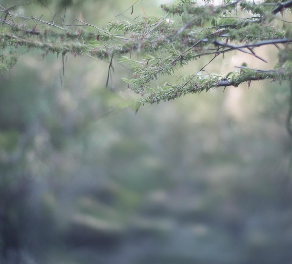 智慧赋能，养老院科技活动方案设计——提升长者生活品质与社交连接的创新实践