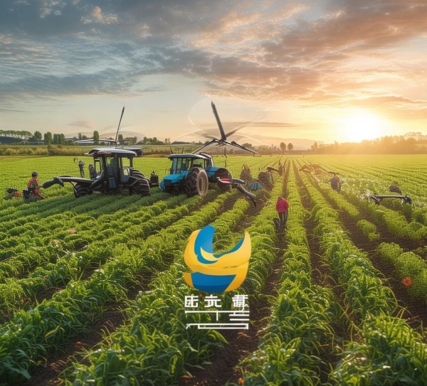 孟连京滇农业科技开发有限公司，科技赋能农业，助力乡村振兴的先锋力量