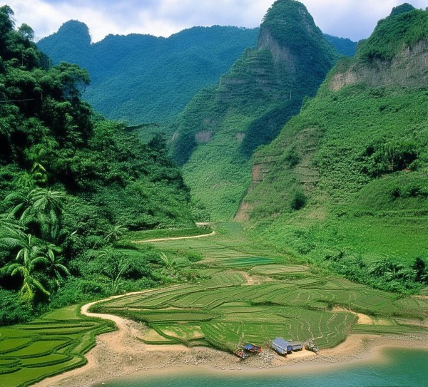 澜沧江畔的农业科技引擎，孟连民祥农业科技开发有限公司助力地方乡村振兴实践