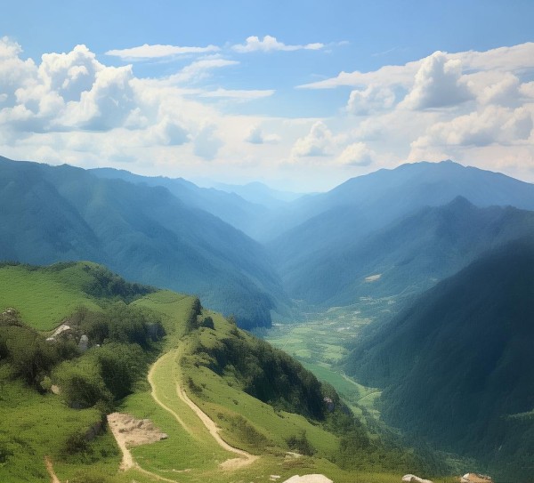 江西山之源山茶科技开发有限公司，以科技赋能山茶产业，引领绿色茶饮发展新方向